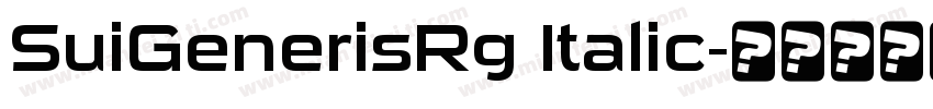 SuiGenerisRg Italic字体转换
